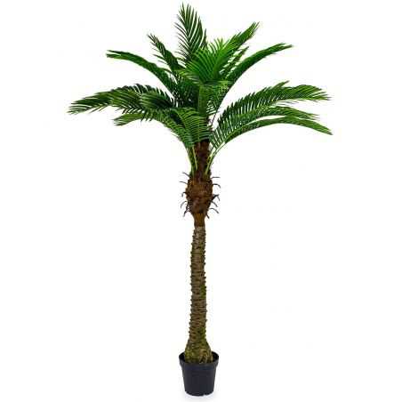 Artificial Palm Trees - Smithers of Stamford • online store Smithers of ...