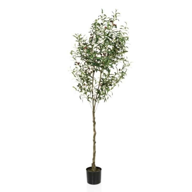 Artificial Olive Tree • online store Smithers of Stamford UK