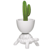 Turtle Carry Planter/ Champagne Cooler Gifts  £399.00 Store UK, US, EU, AE,BE,CA,DK,FR,DE,IE,IT,MT,NL,NO,ES,SETurtle Carry Pl...