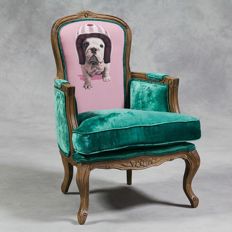 dog armchair